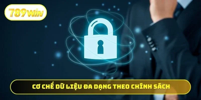 Cơ chế dữ liệu đa dạng theo chính sách